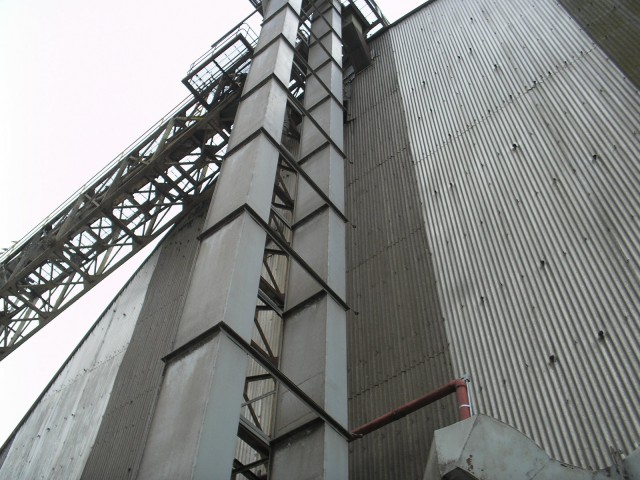 Elevador de caneca